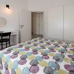 Franko & Ana Apartamento