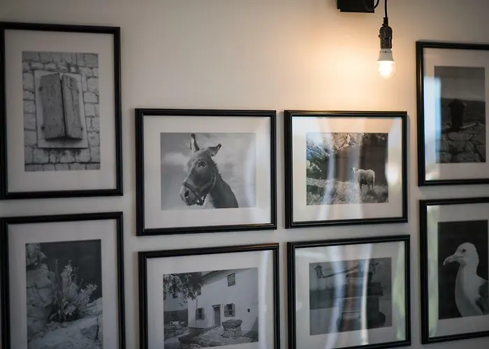 Franko & Ana Lejlighed